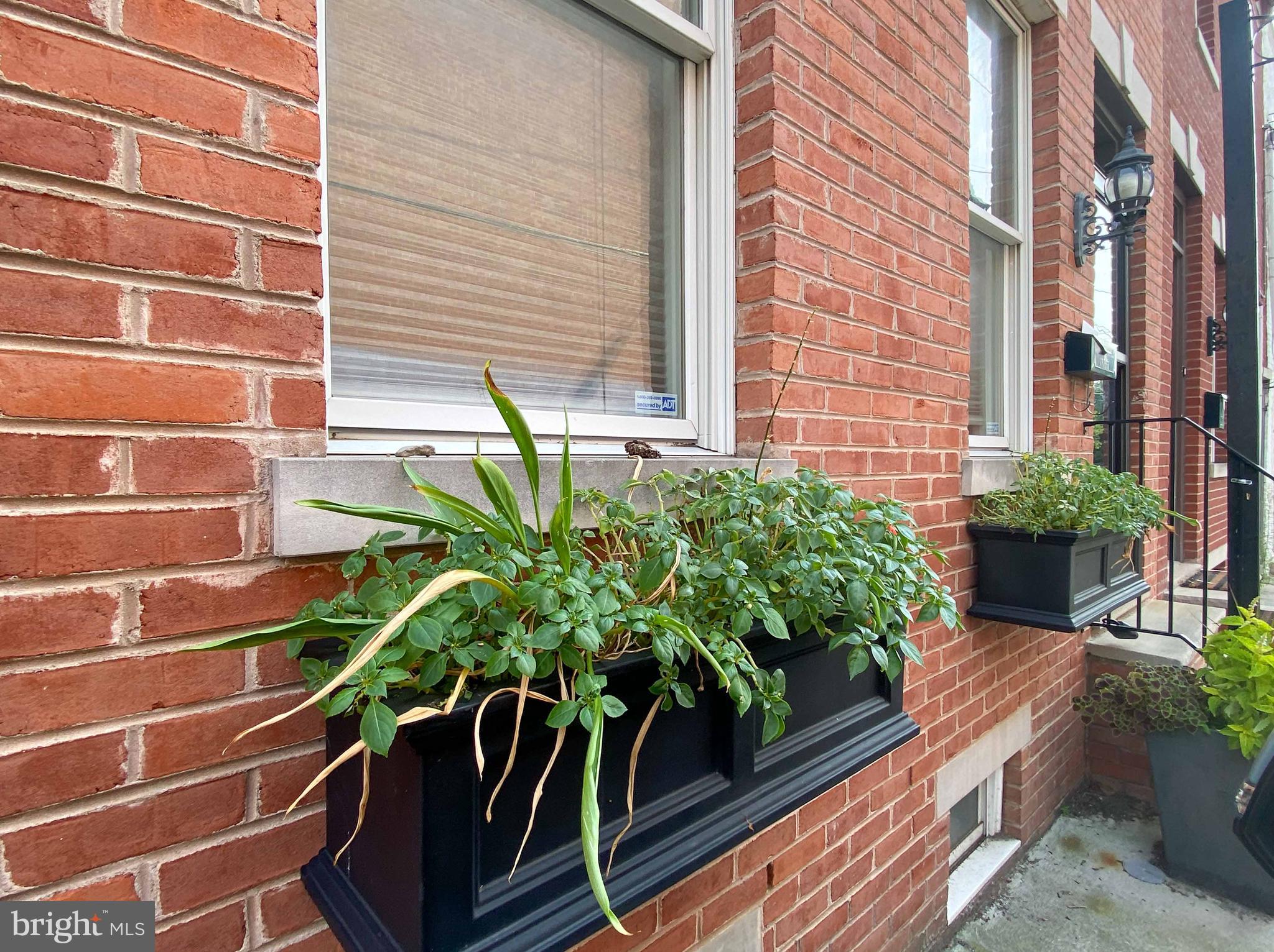 2018 Webster St