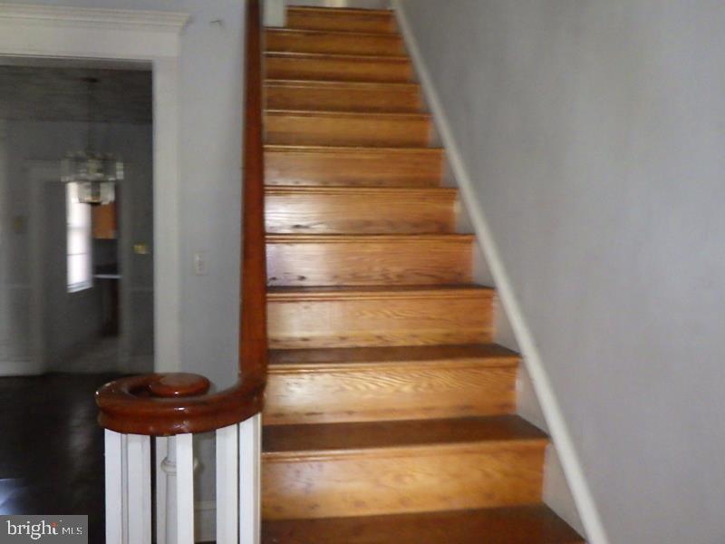 445 W Roosevelt Blvd