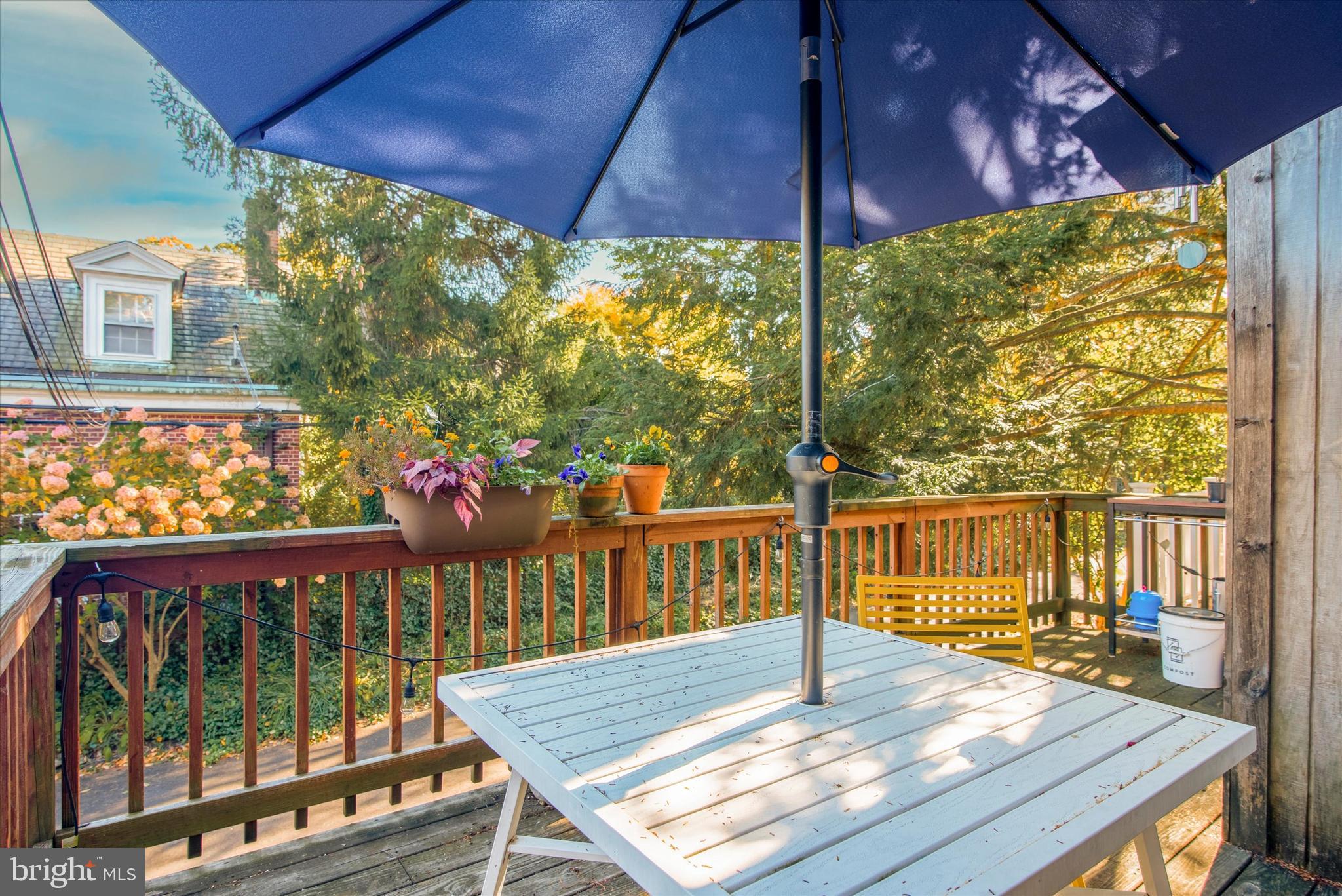 704 Carpenter Ln