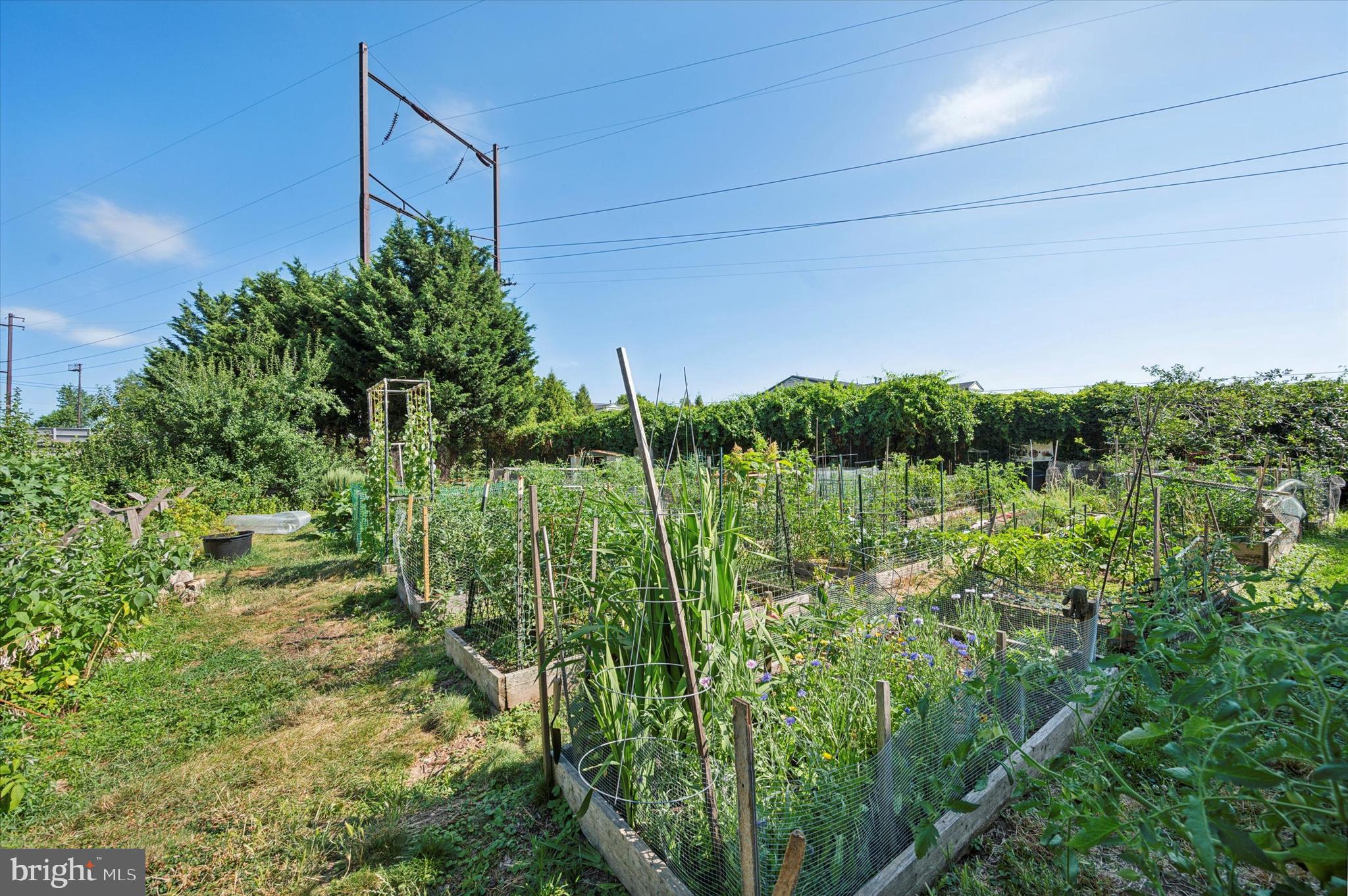 1011 S Saint Bernard St