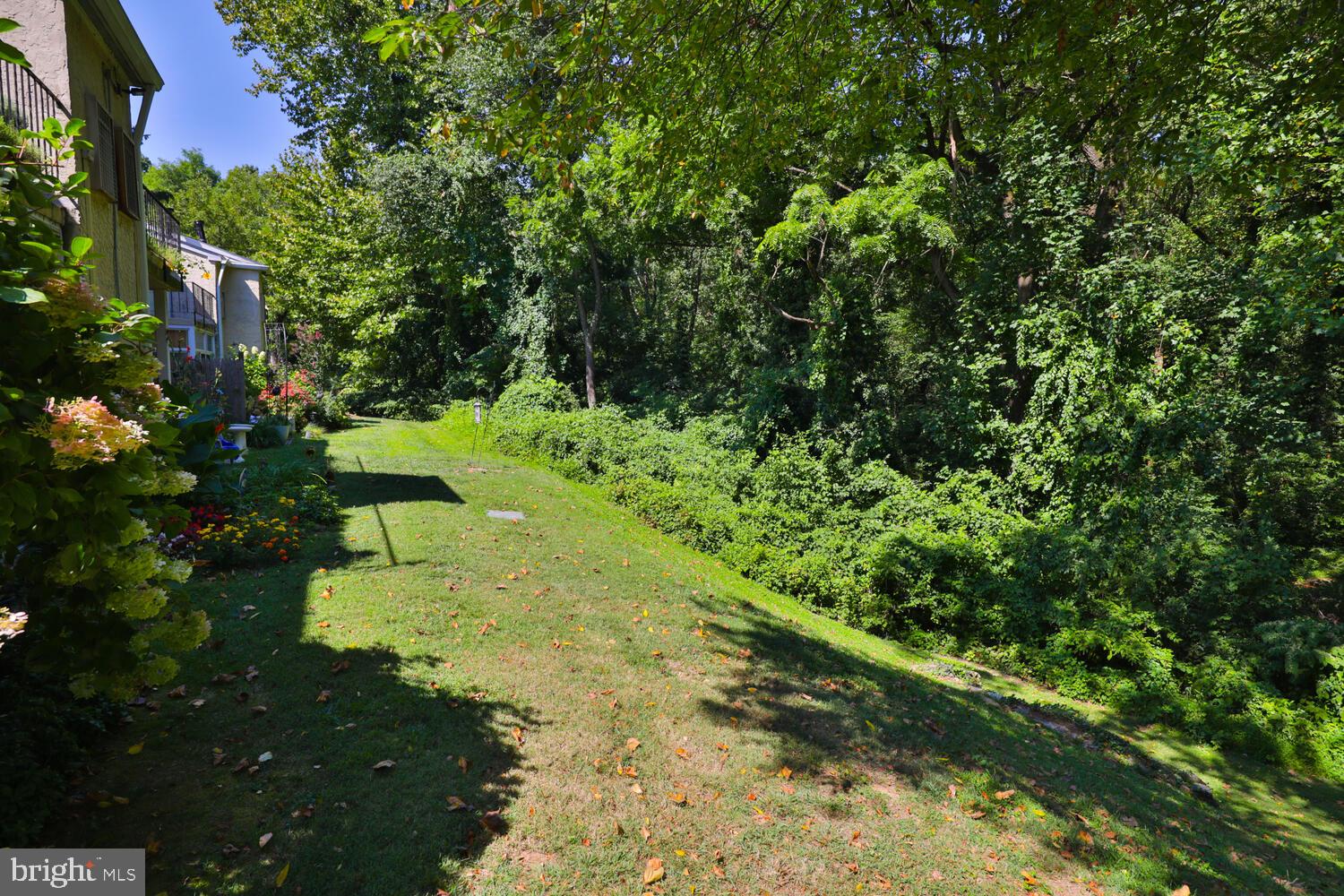 7300 Cresheim Rd #D6