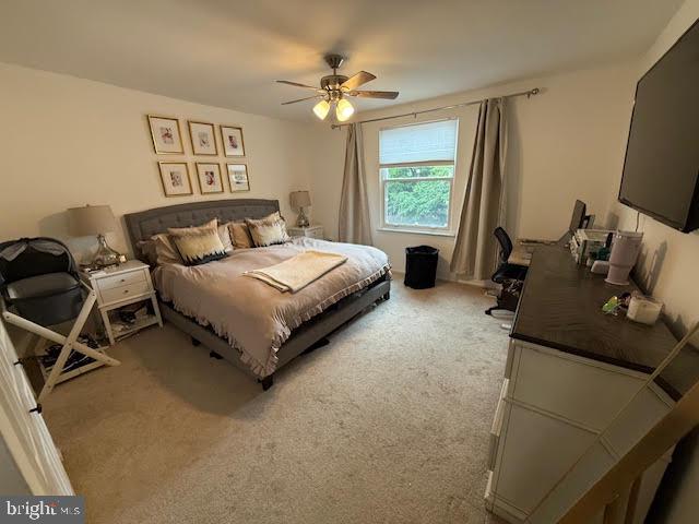 1714 BAINBRIDGE ST #B