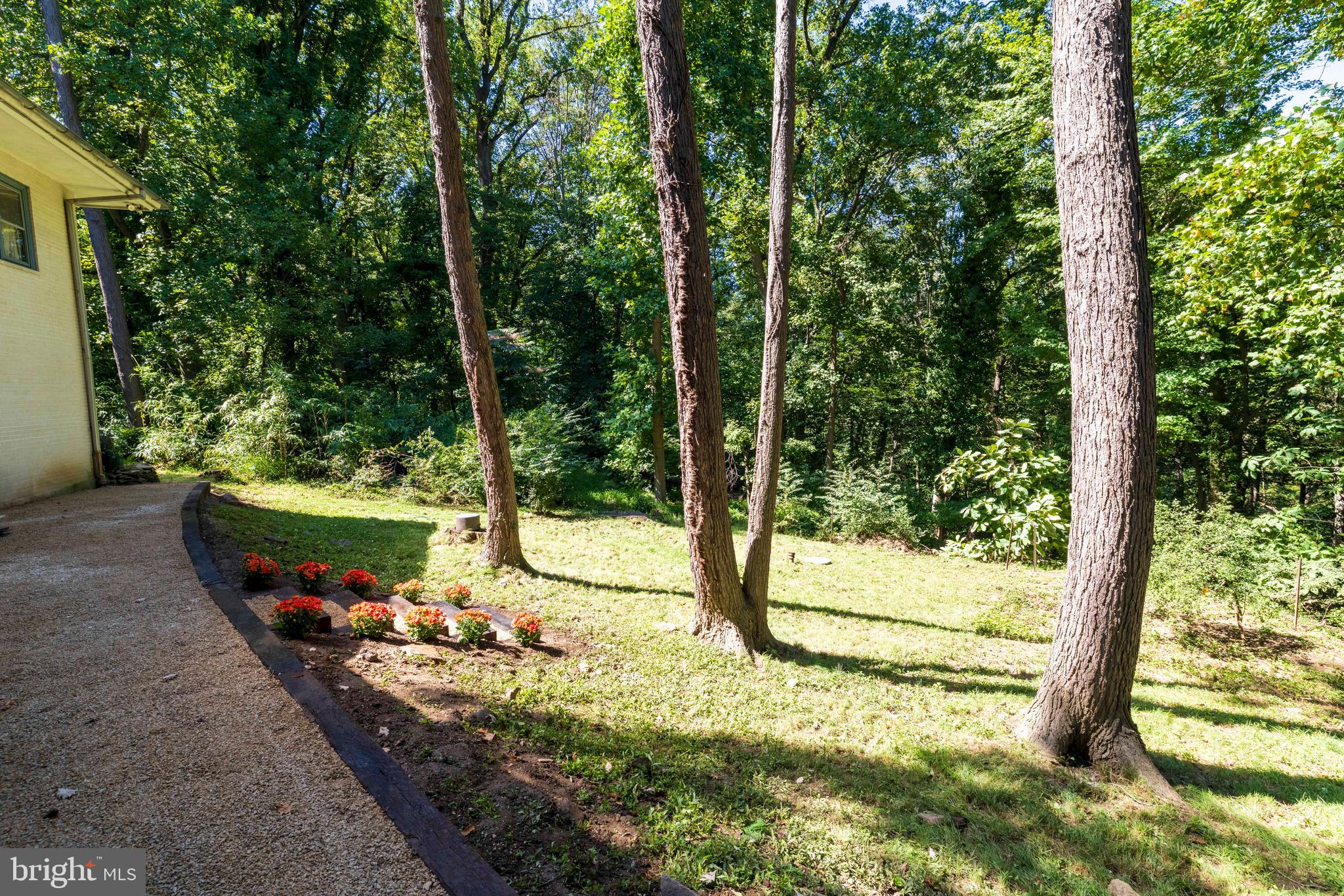 4145 TIMBER LANE