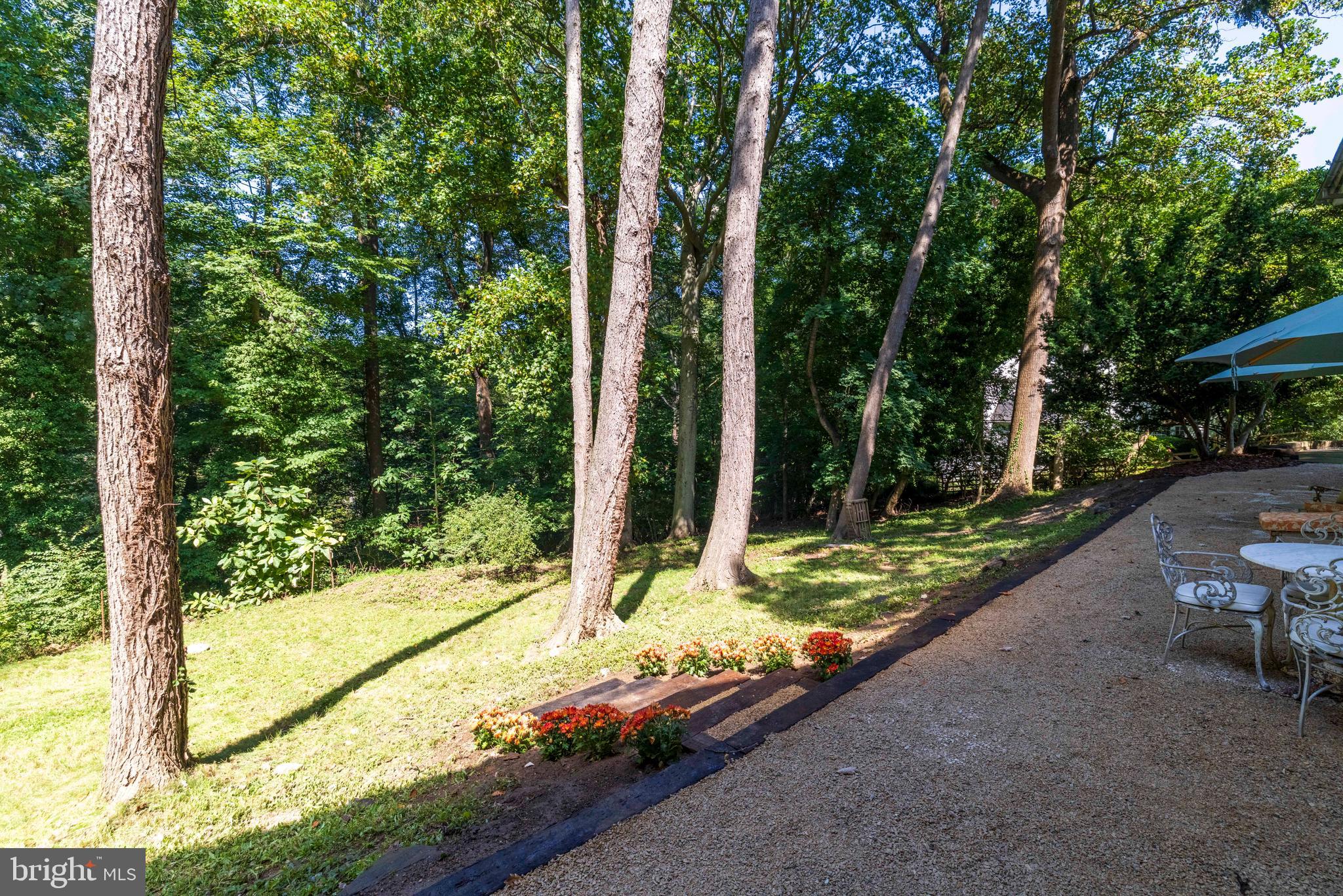 4145 TIMBER LANE