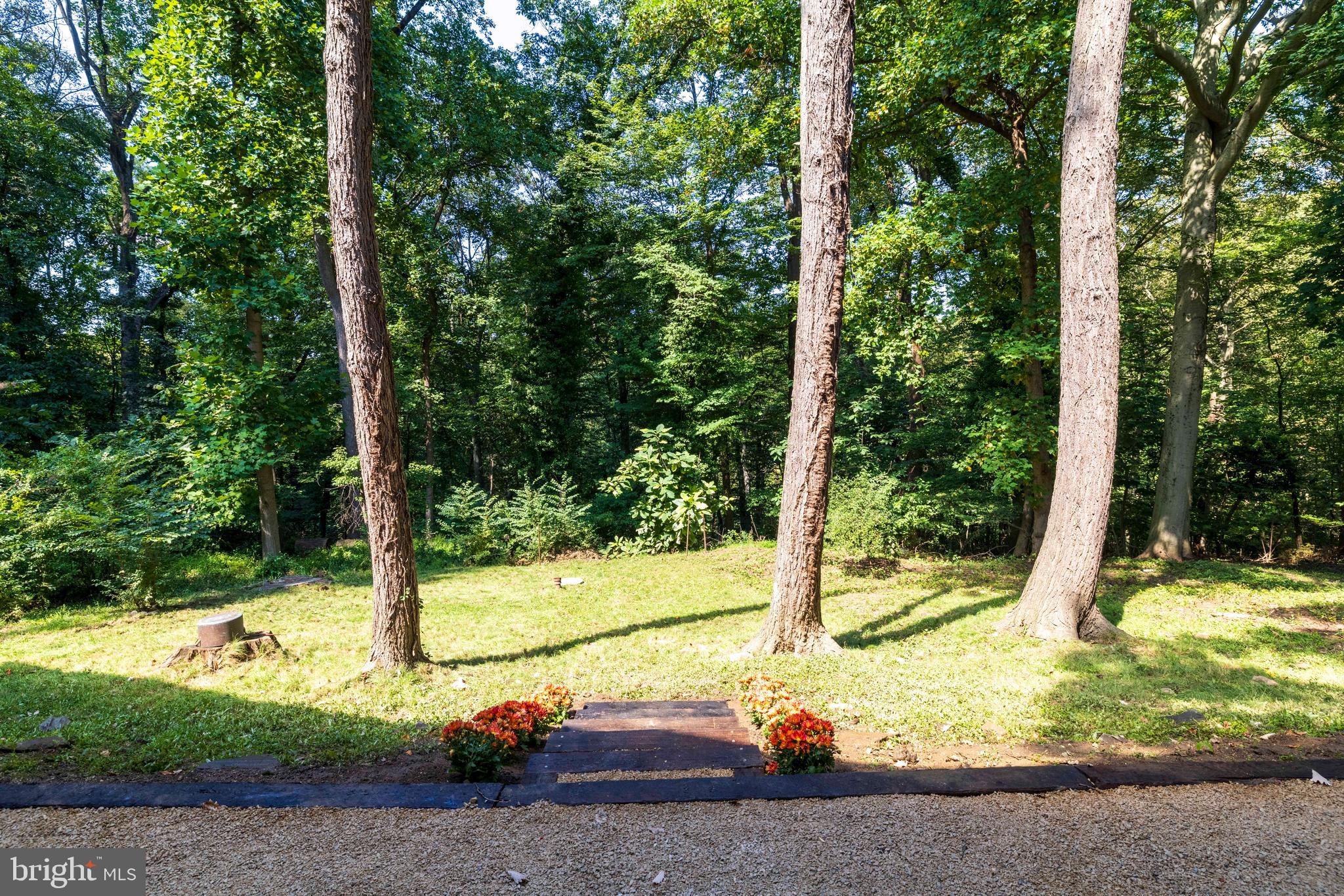 4145 TIMBER LANE
