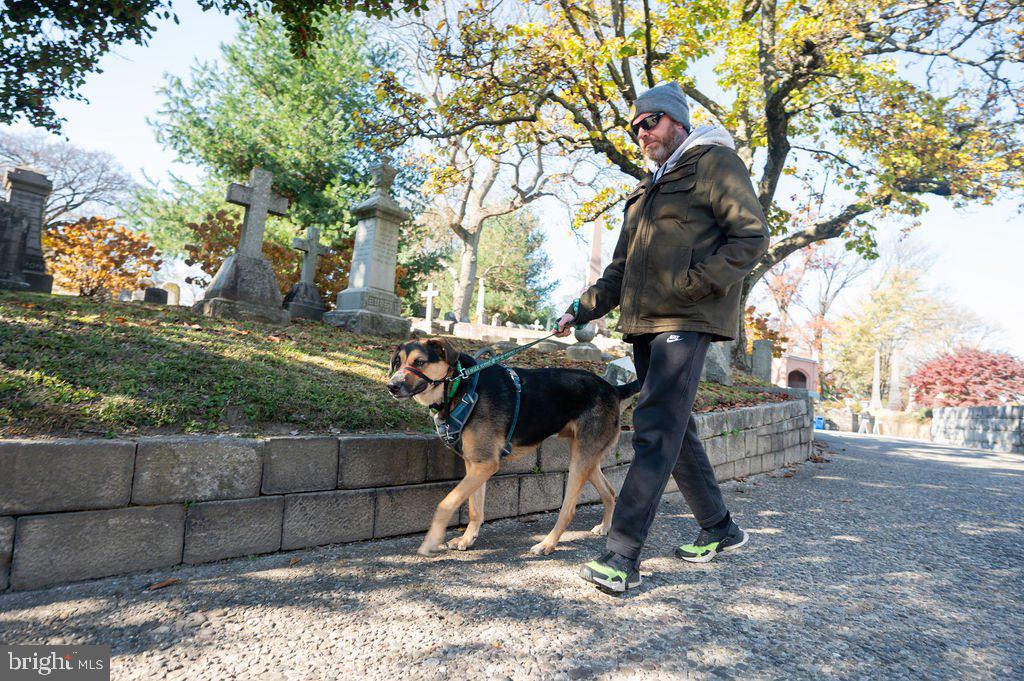 3407 W LIPPINCOTT STREET