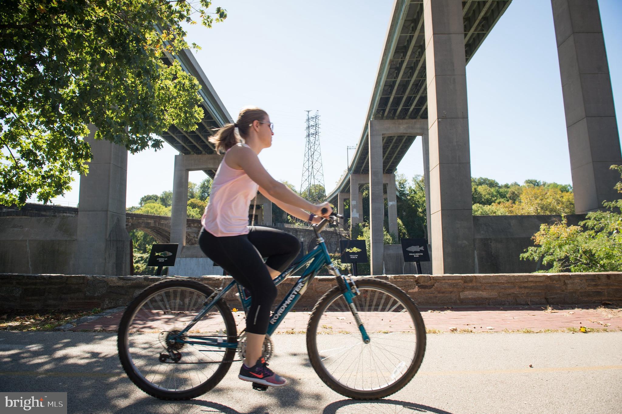 3407 W LIPPINCOTT STREET