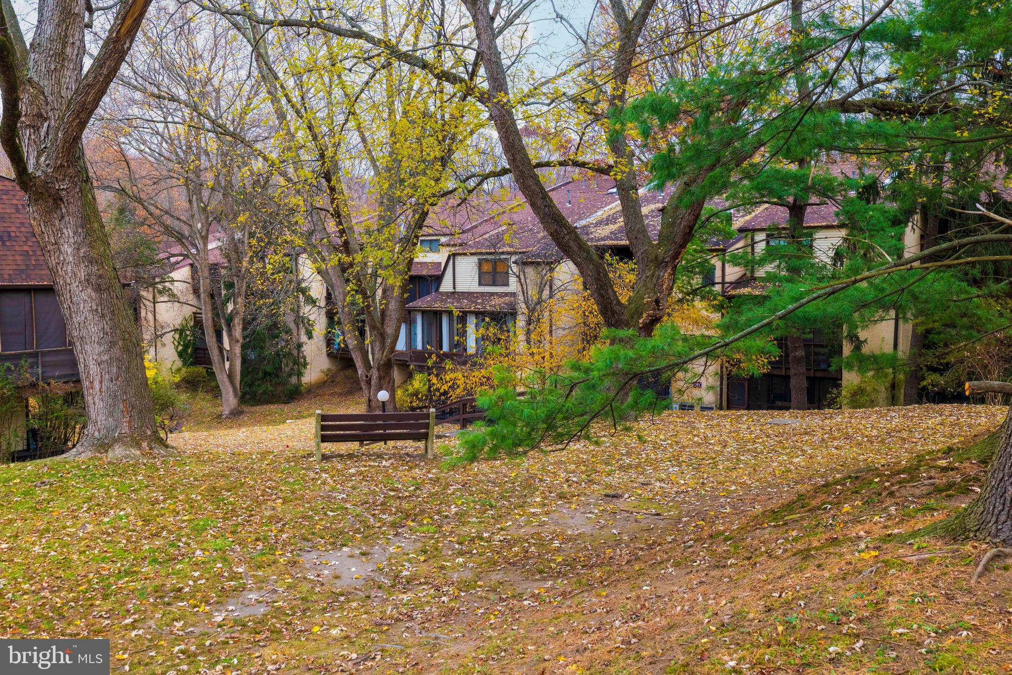 427 SHAWMONT AVENUE 00 C