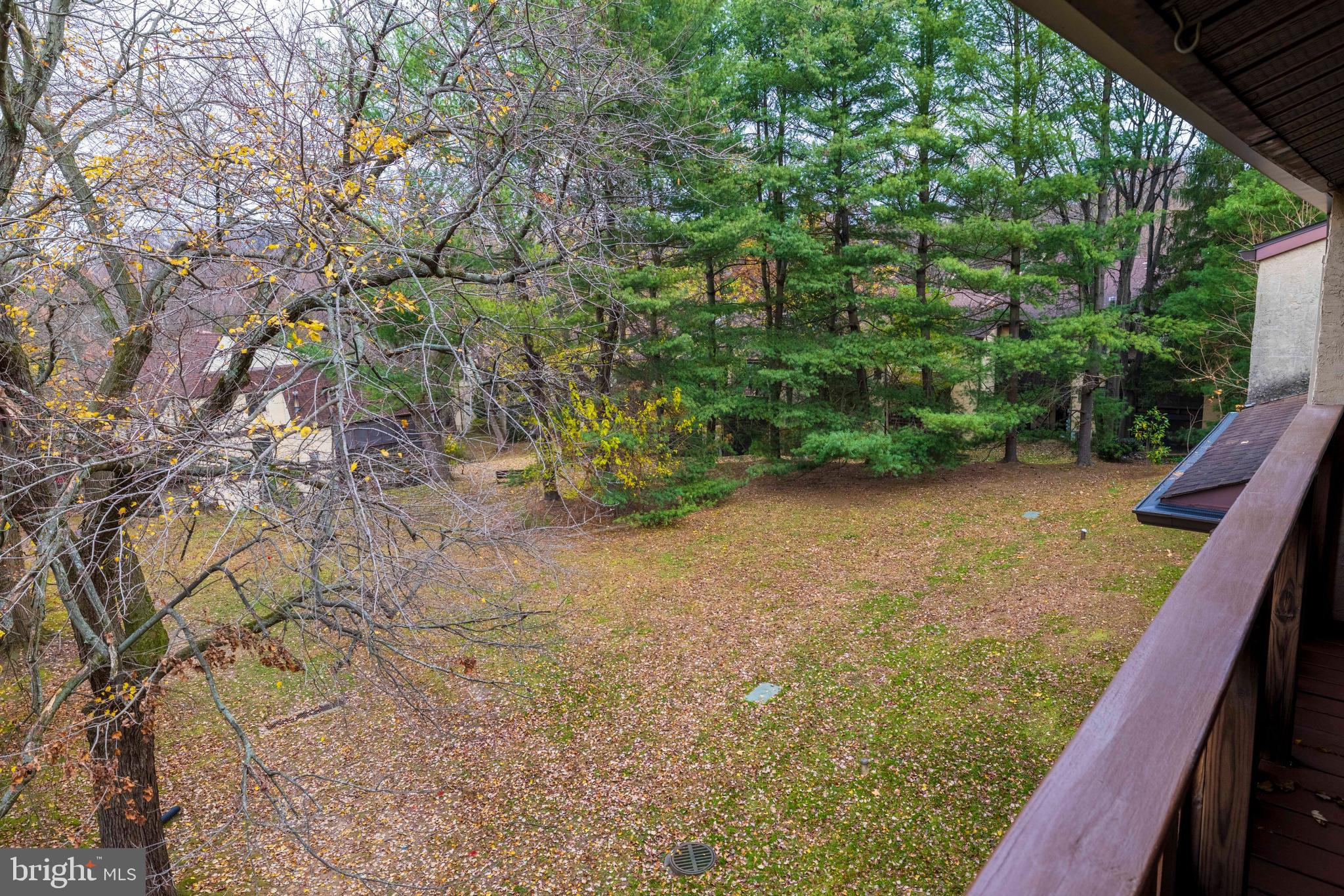 427 SHAWMONT AVENUE 00 C