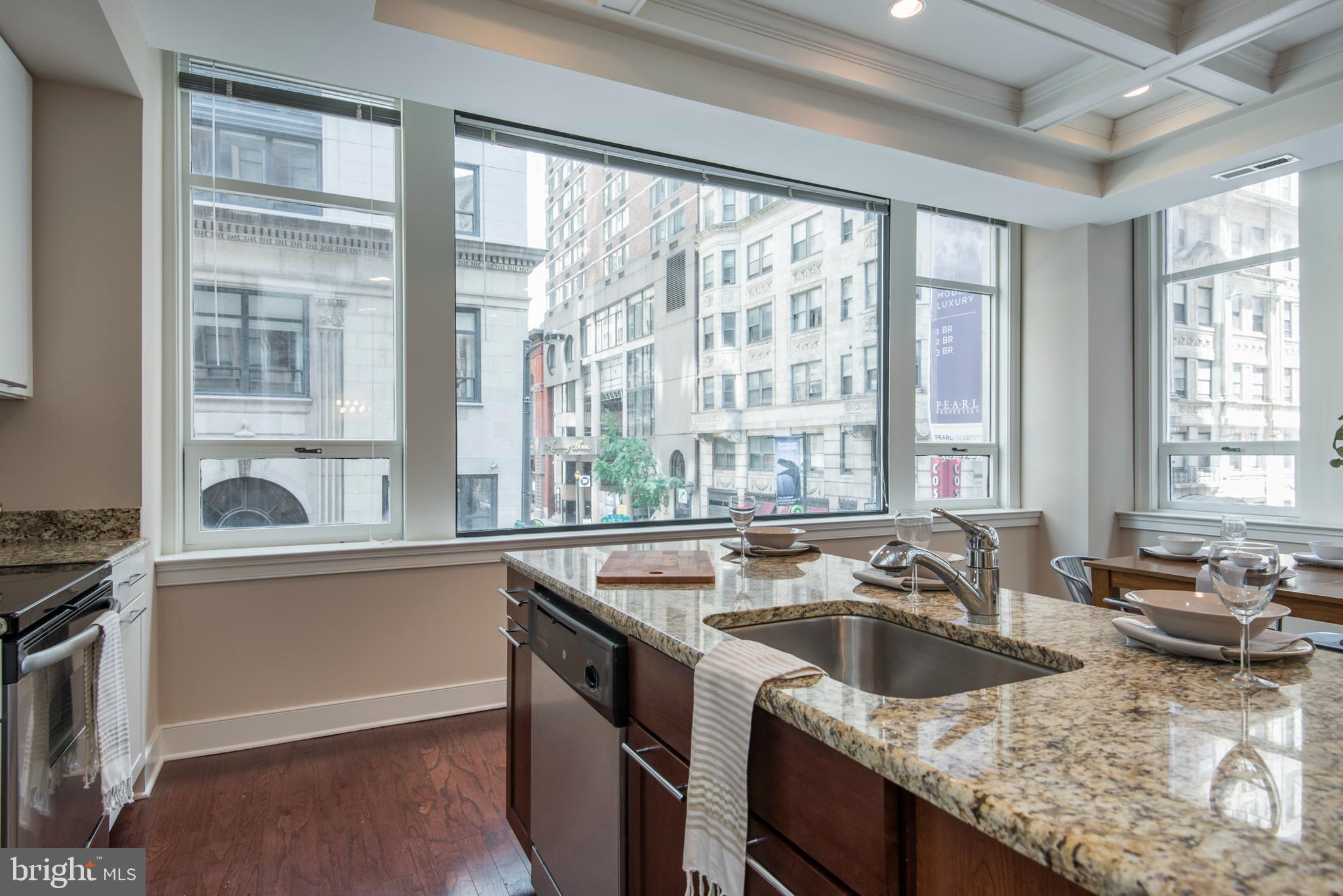 1501 LOCUST STREET UNIT 203