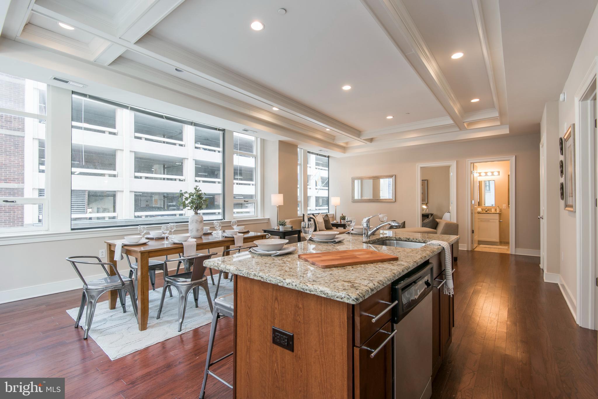 1501 LOCUST STREET UNIT 203