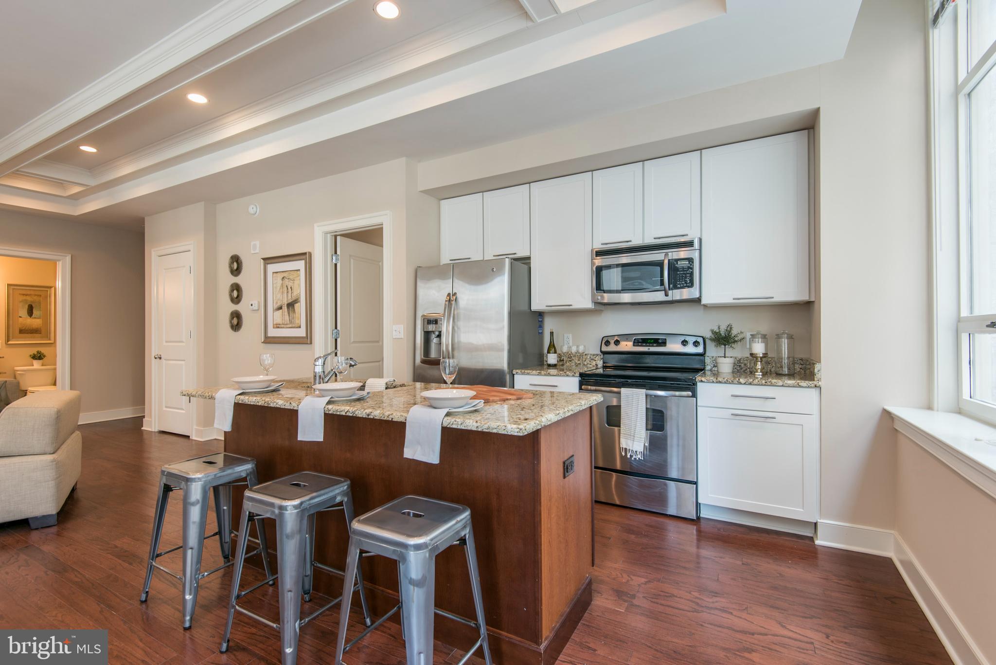 1501 LOCUST STREET UNIT 203