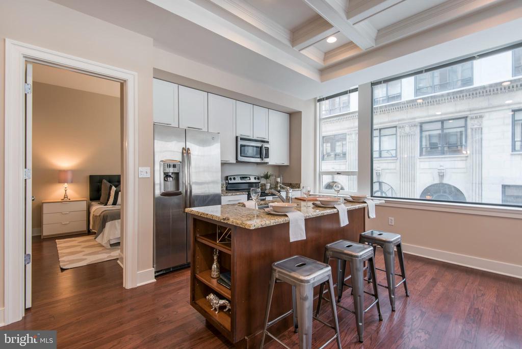 1501 LOCUST STREET UNIT 203