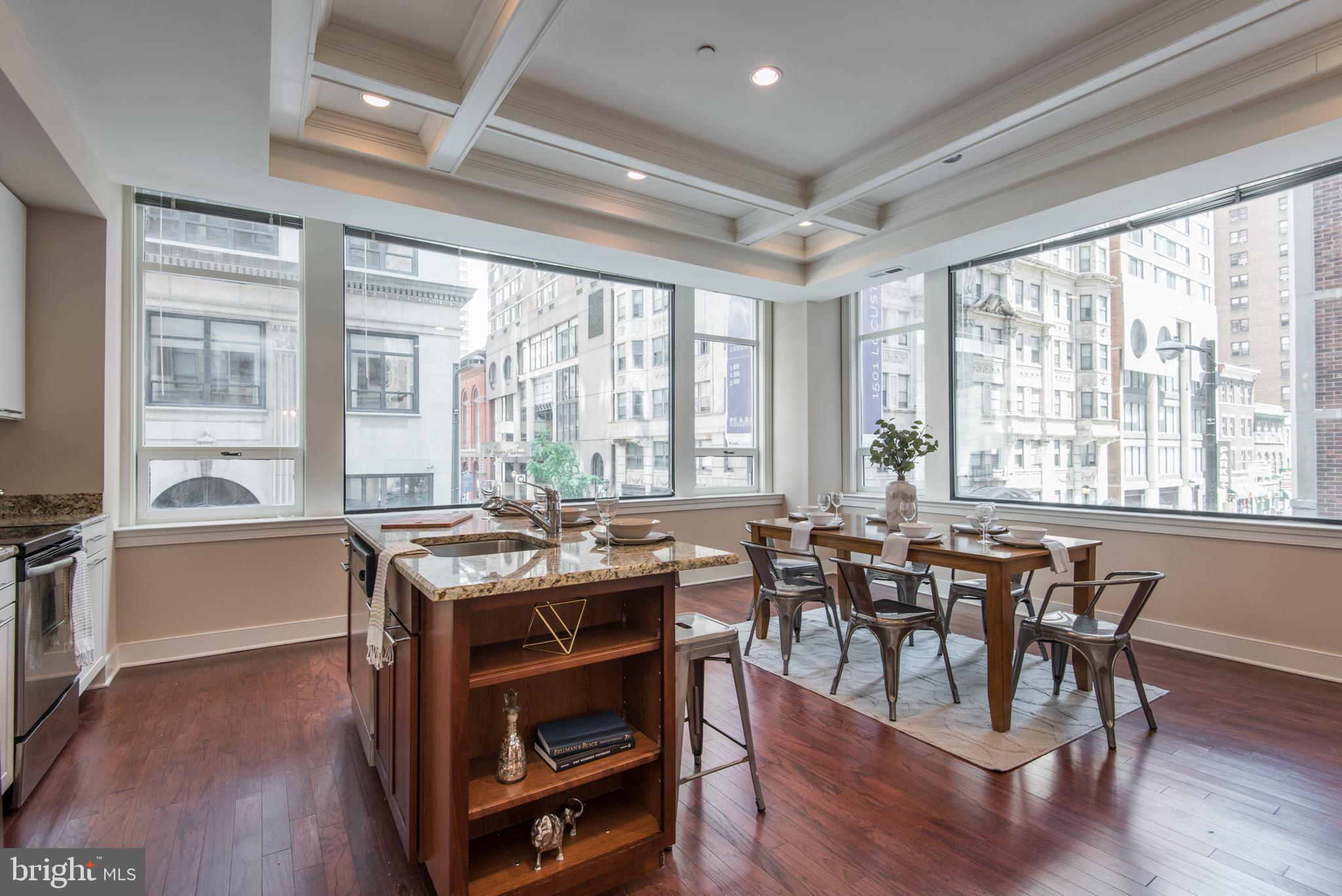 1501 LOCUST STREET UNIT 203