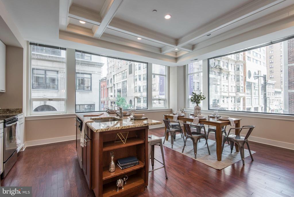 1501 LOCUST STREET UNIT 203