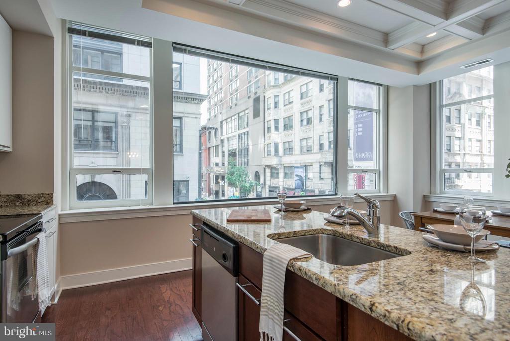 1501 LOCUST STREET UNIT 203