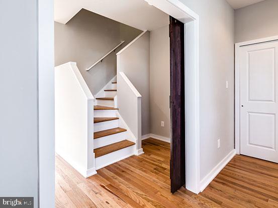 4427 MITCHELL STREET