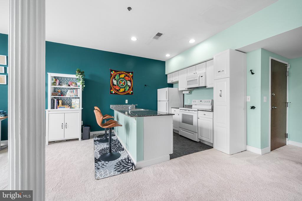 1001 CHESTNUT STREET 13 702E