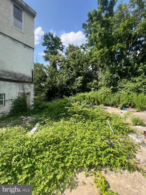 64-68 WISTER STREET E