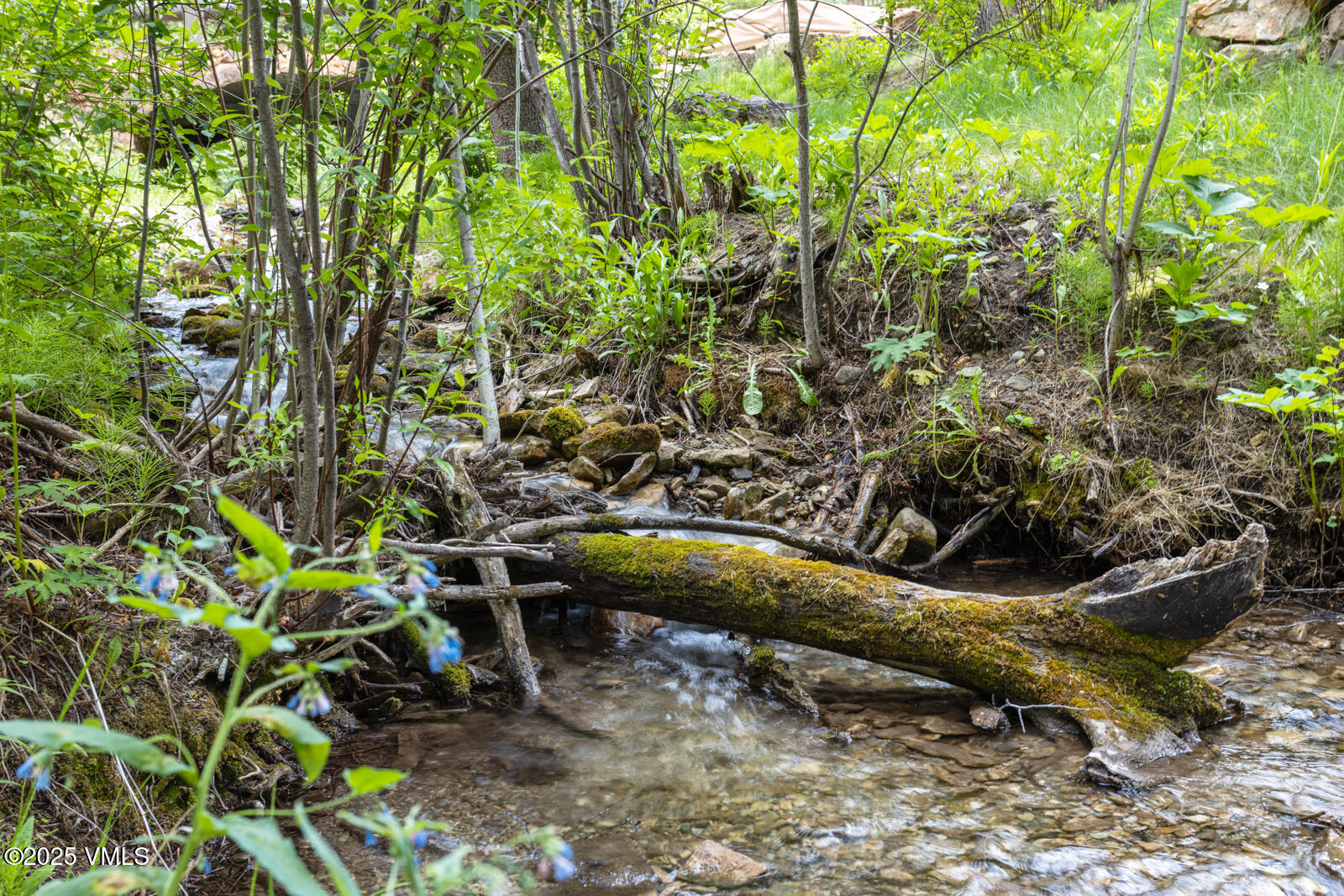 12 Cabin Creek Lane