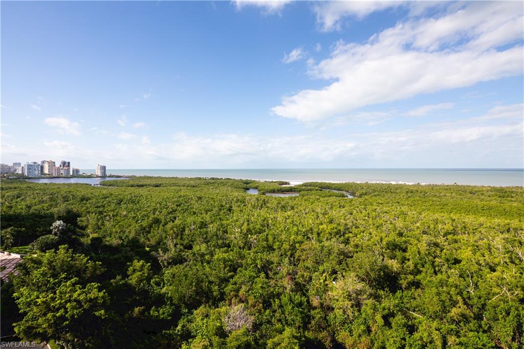 6101 Pelican Bay BLVD # 1404