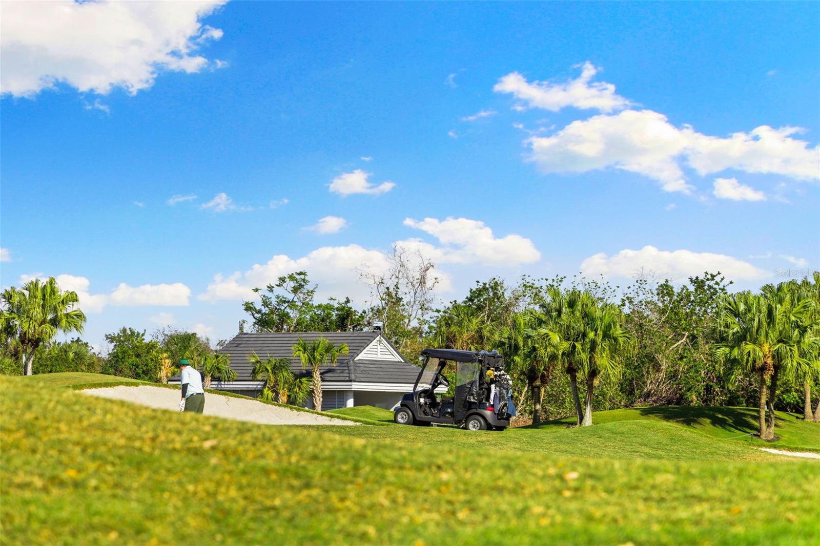 2546 TOM MORRIS DR