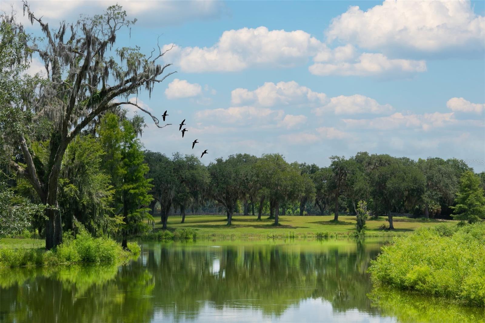 TBD SE 157TH STREET RD