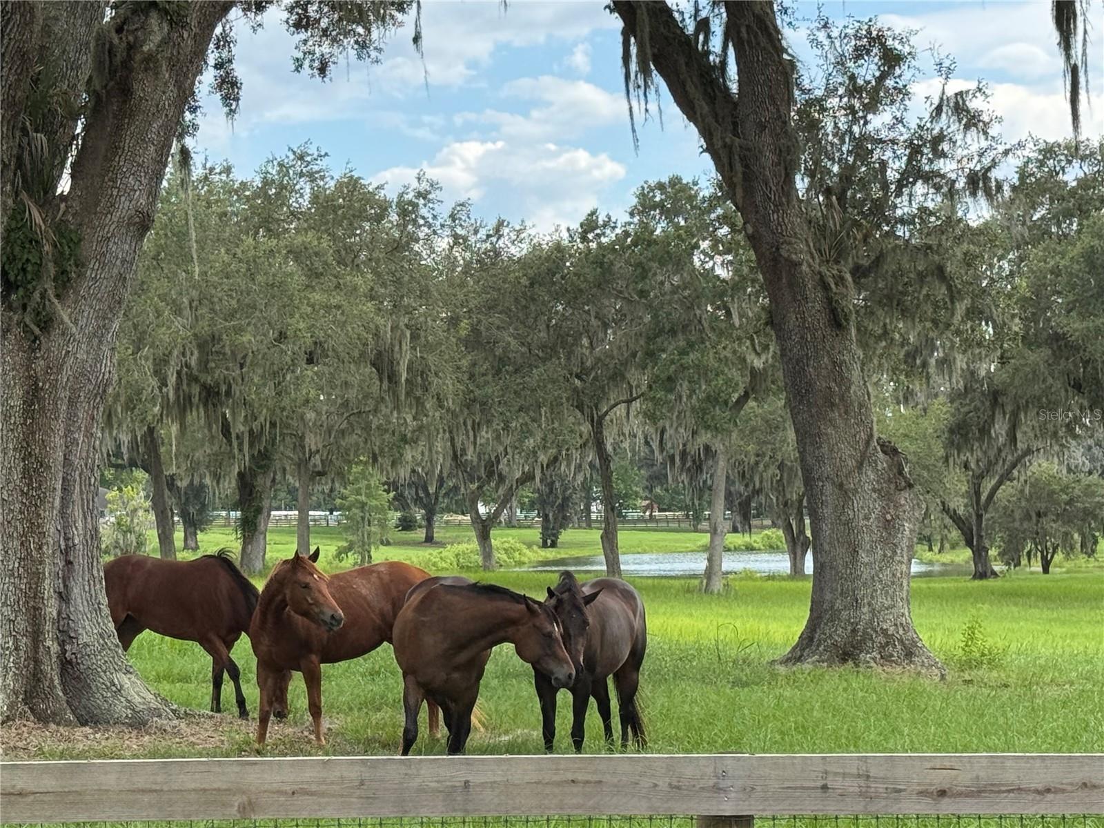 TBD SE 157TH STREET RD