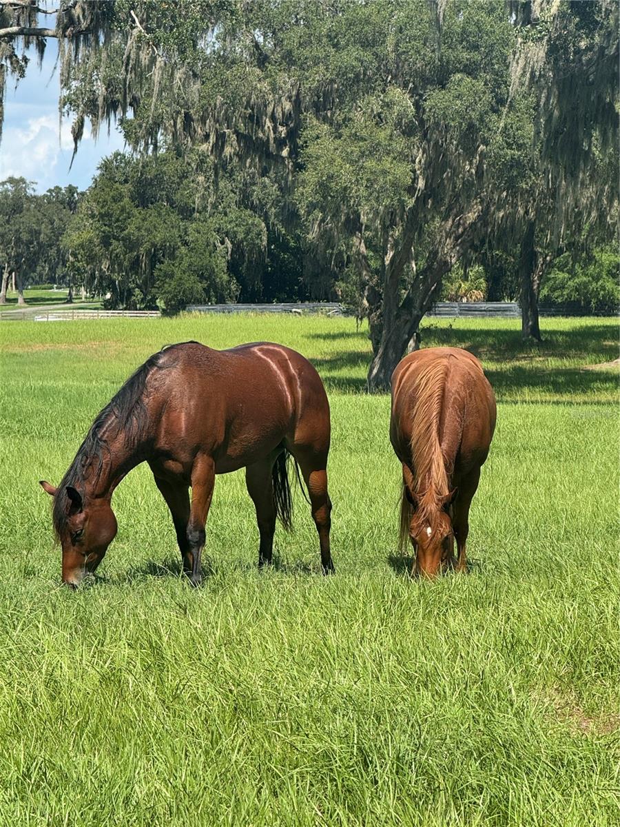 TBD SE 157TH STREET RD