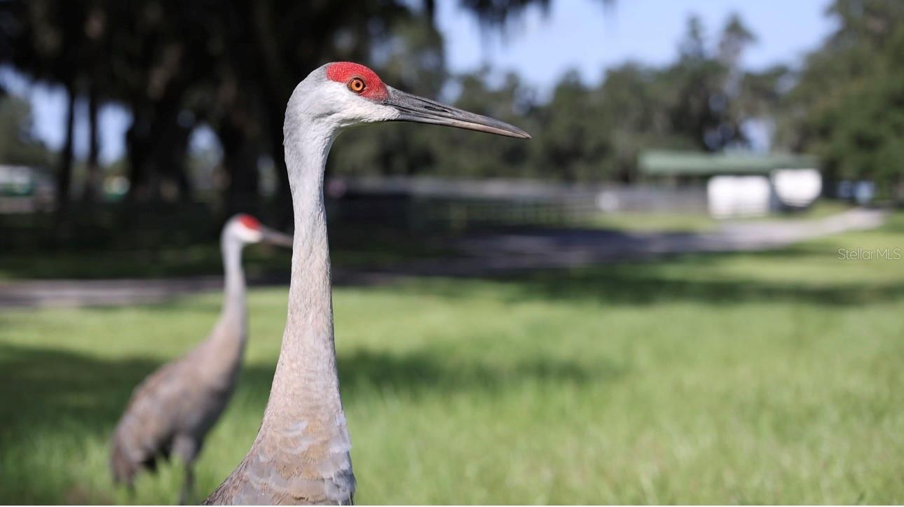 5540 SE 157TH STREET ROAD