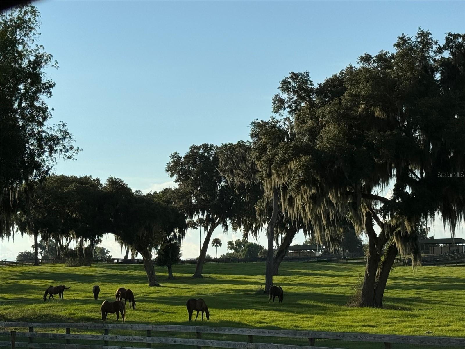 5540 SE 157TH STREET ROAD