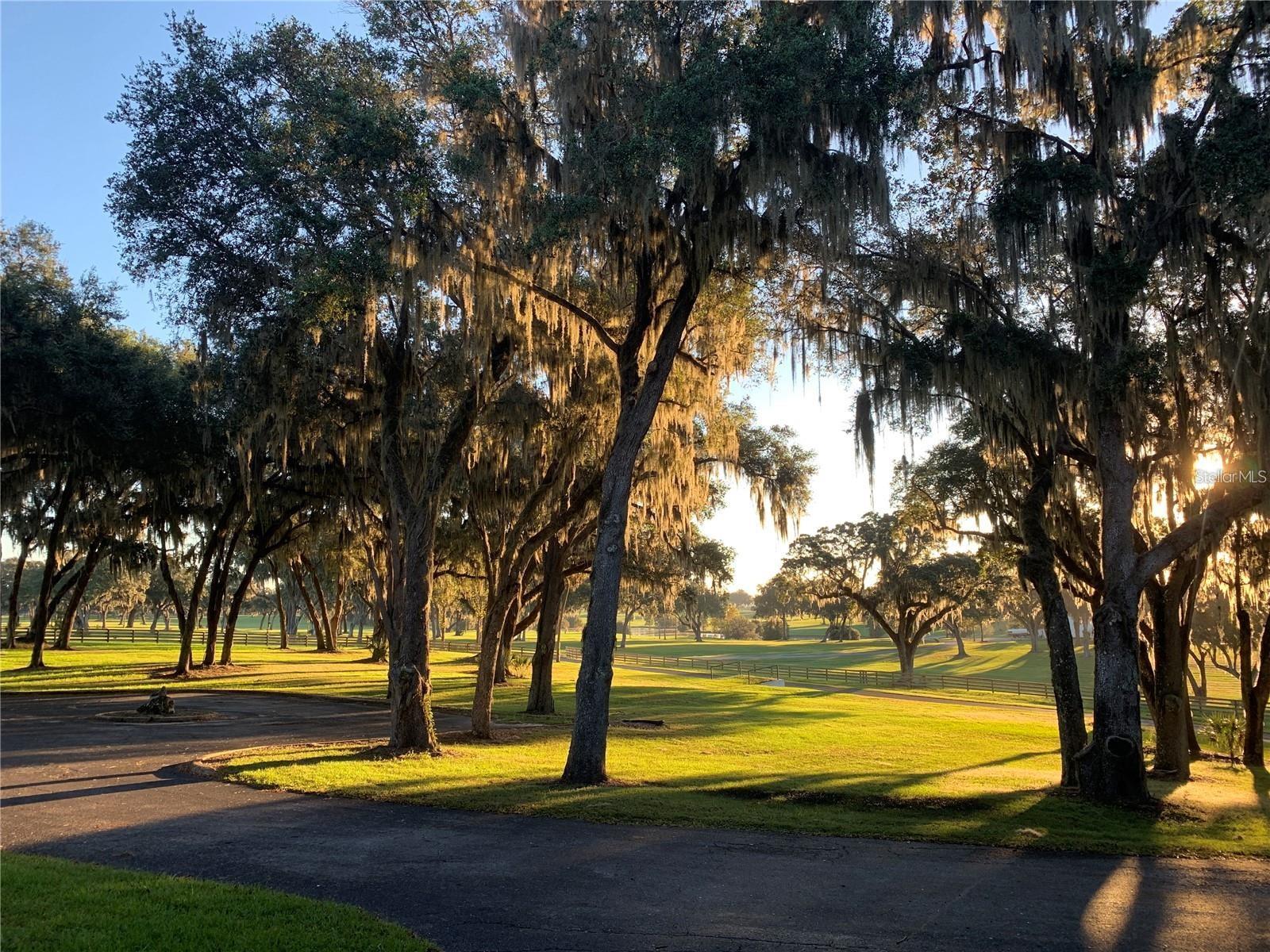 5540 SE 157TH STREET RD #(Option 1)