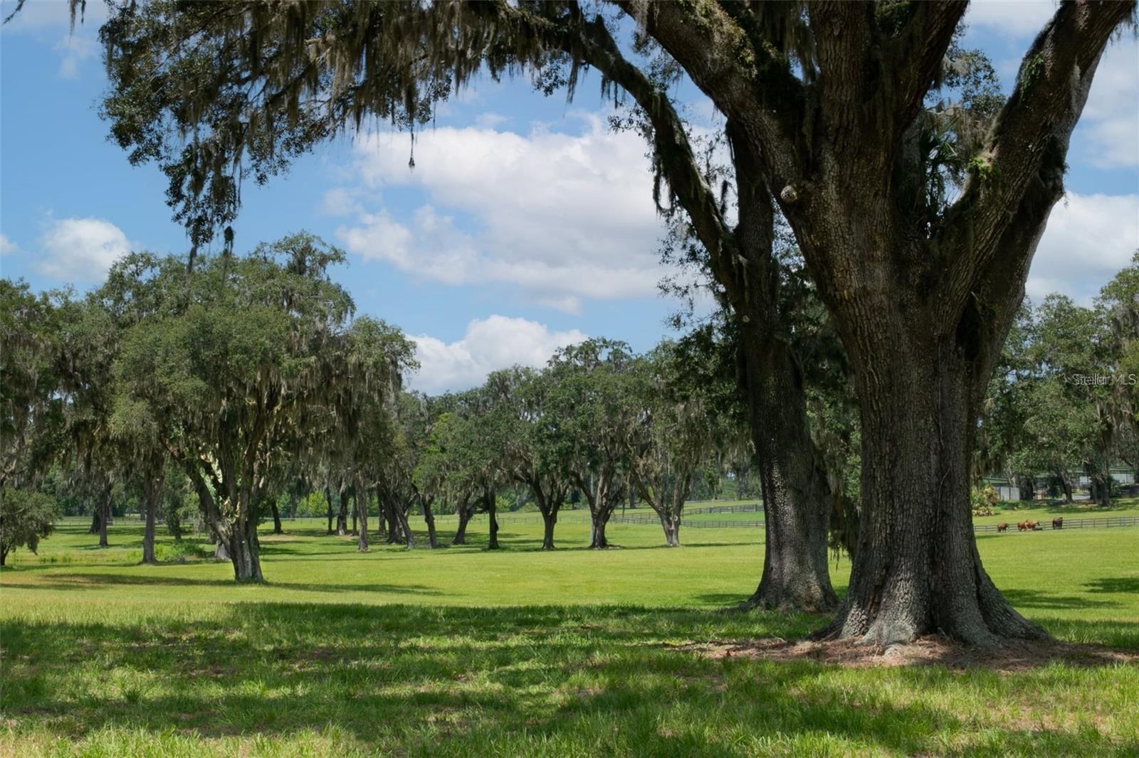 5540 SE 157TH STREET RD #(Option 1)