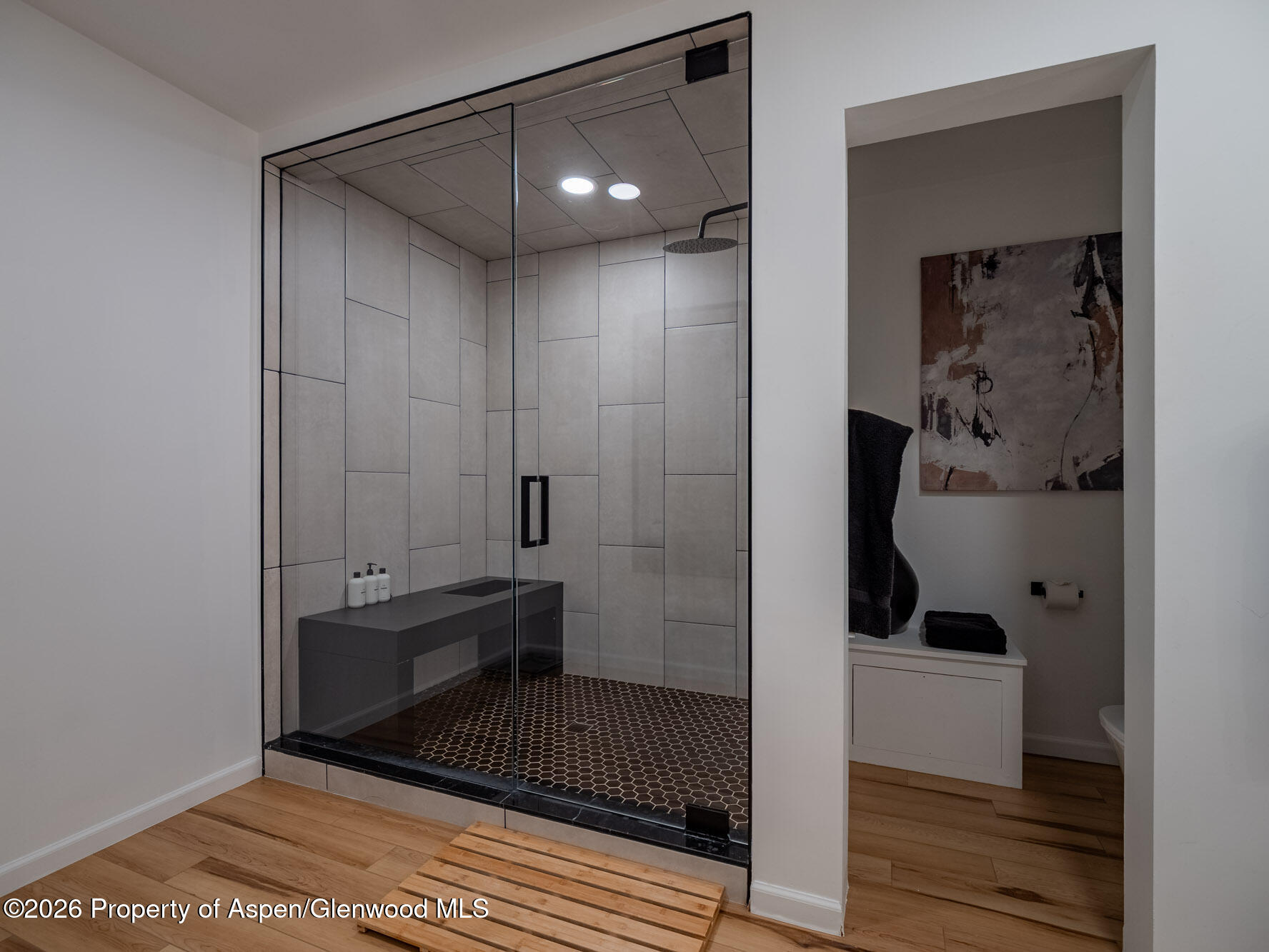 107 Aspen Mountain Road Unit: 3