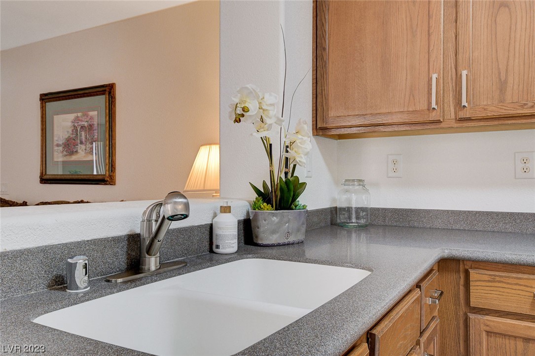 7887 Steamboat Springs Court