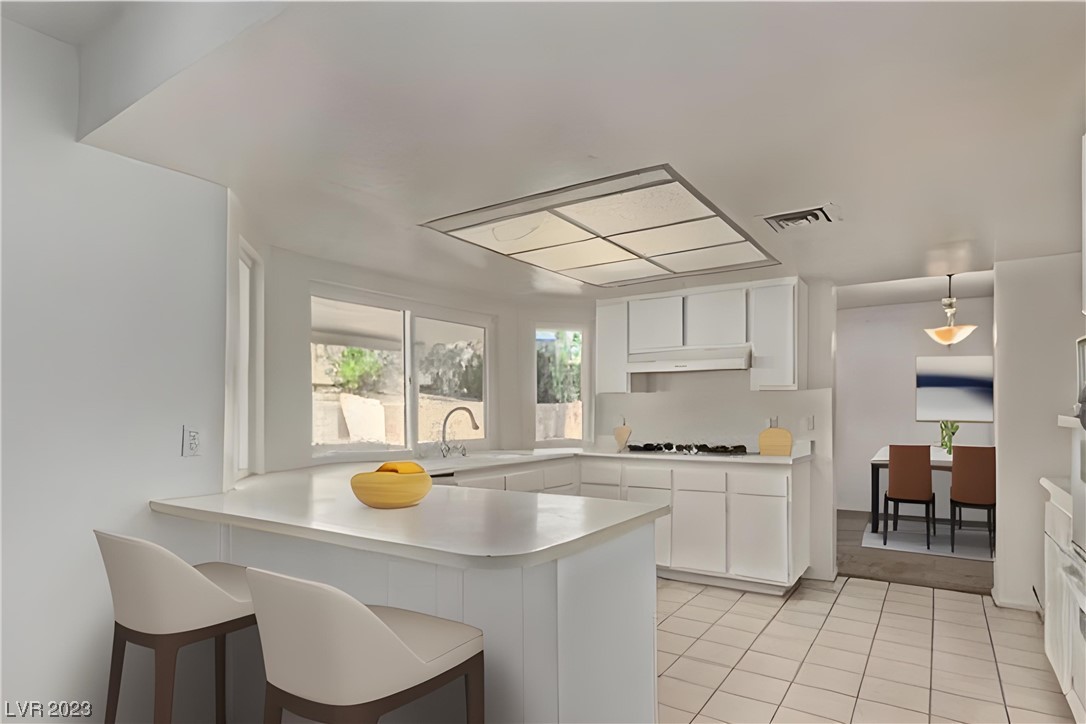 1124 Lillo Court