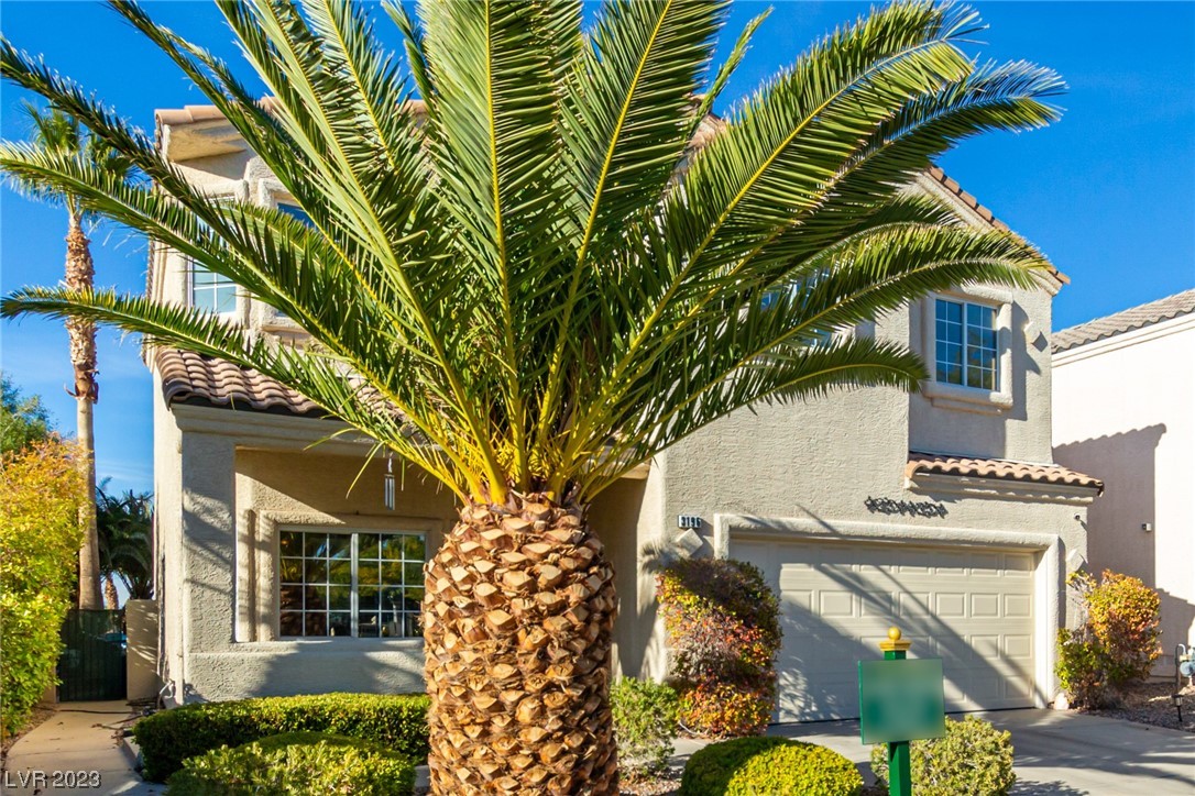 3196 Castle Canyon Avenue