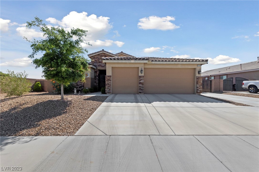 6098 Golden Arowana Way