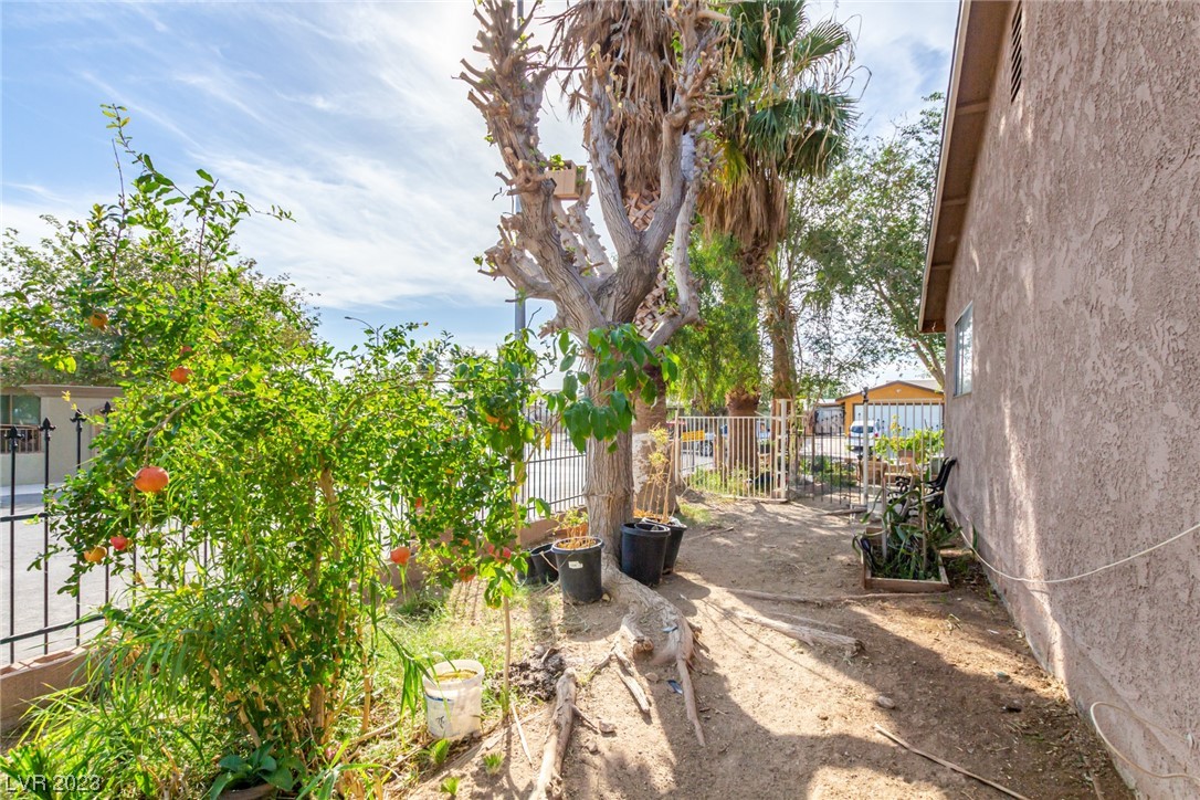 3944 Lighthouse Avenue