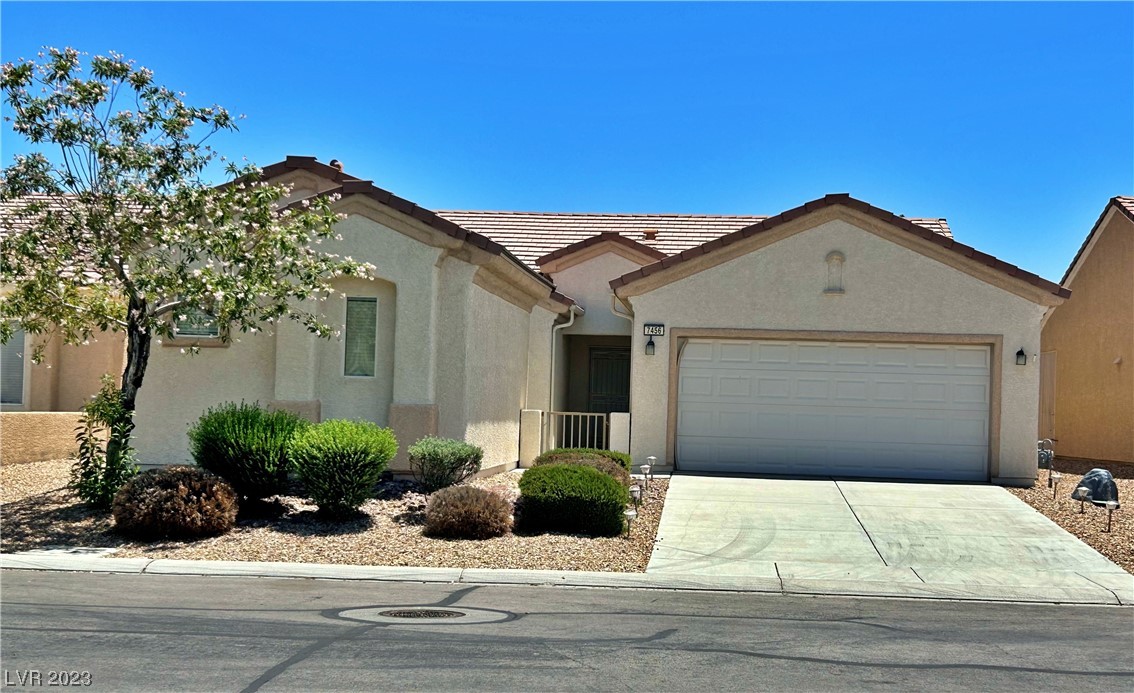 7456 Chipping Sparrow Street