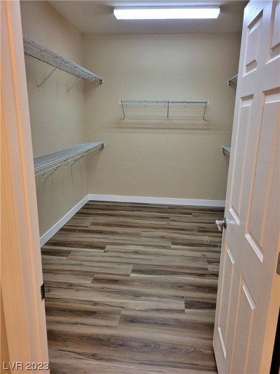 7456 Chipping Sparrow Street