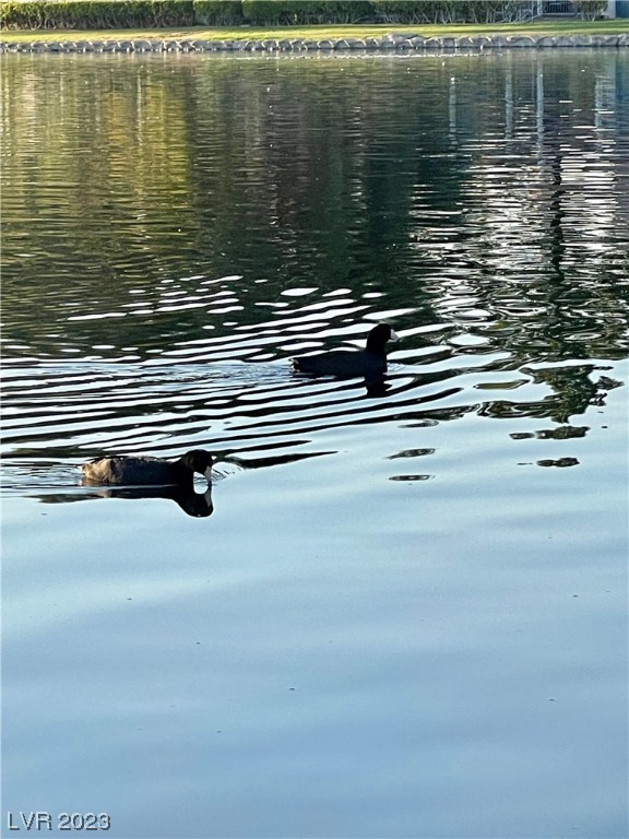 3151 Soaring Gulls Drive 1159