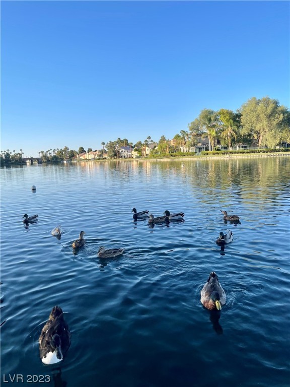 3151 Soaring Gulls Drive 1159