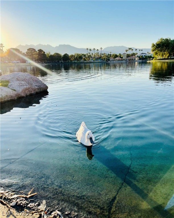 3151 Soaring Gulls Drive 1159