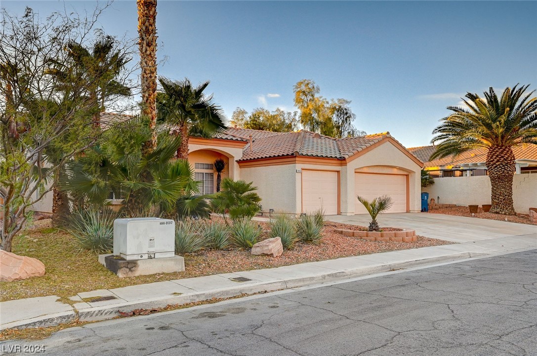 7655 Cypress Tree Street