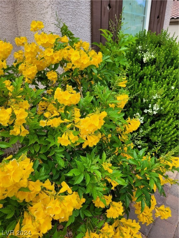 2224 Suffron Hills Court