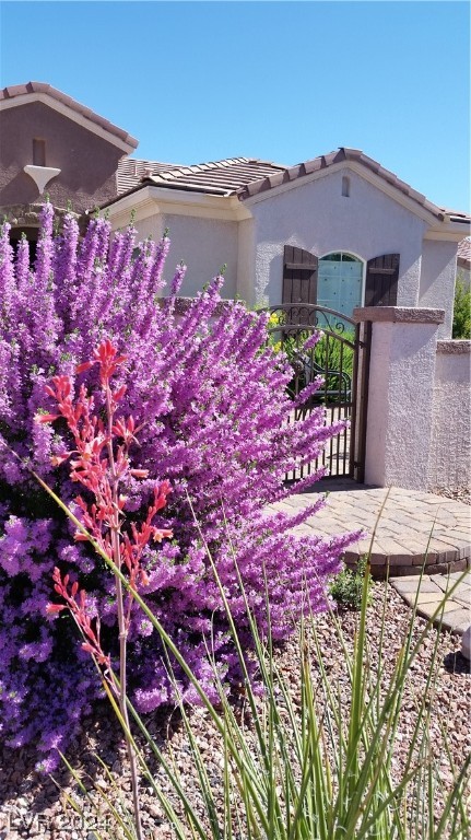 2224 Suffron Hills Court