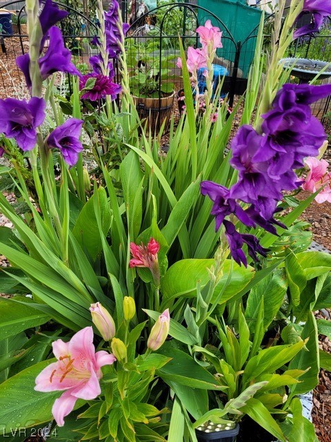 2224 Suffron Hills Court