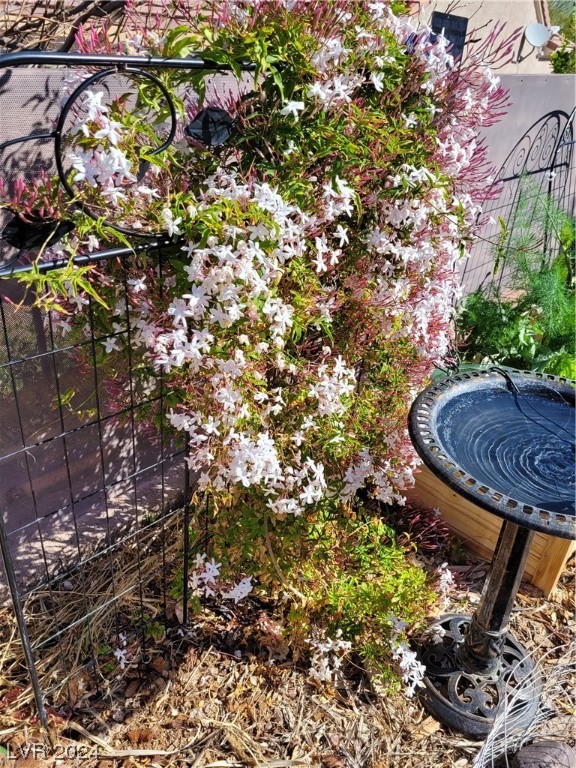 2224 Suffron Hills Court