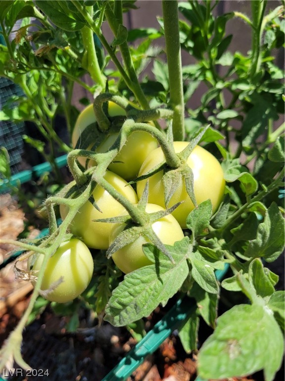 2224 Suffron Hills Court